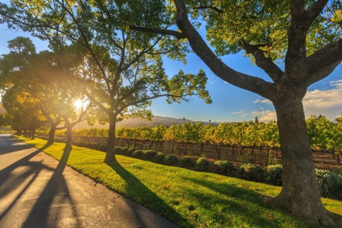 VIP Swan Valley Wine Tour - Premium Small Group Wine Tour - Booking and Cancellation