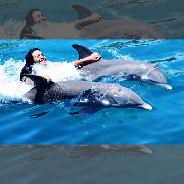 VIP Swim With Dolphins at Ocean World Puerto Plata - Accessibility