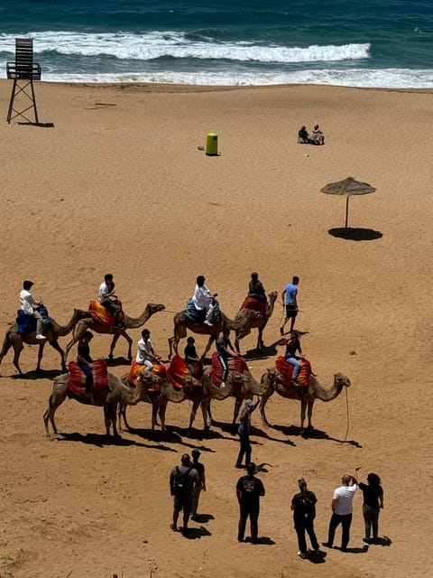 Vip Tangier Day Tour From the Spain Tarifa , - Key Points