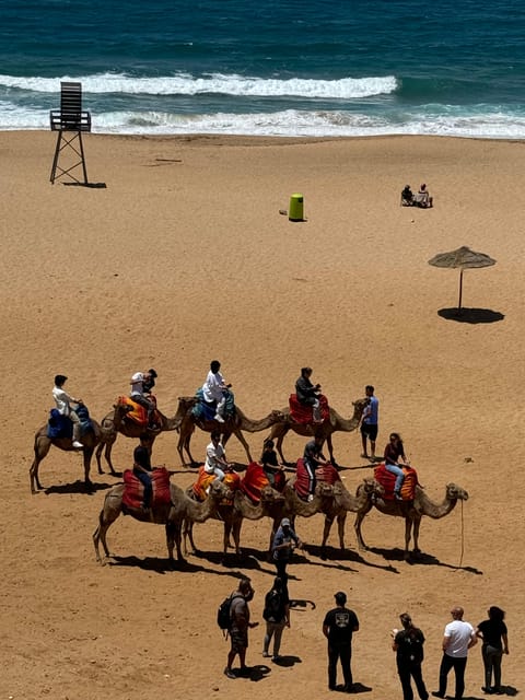 Vip Tangier Day Tour From the Spain Tarifa , - Discovering Tangier Casbah