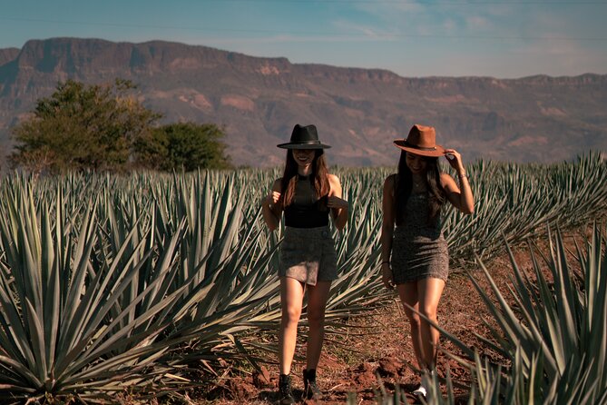 Vip Tequila Experience - Beverage and Dinner Details