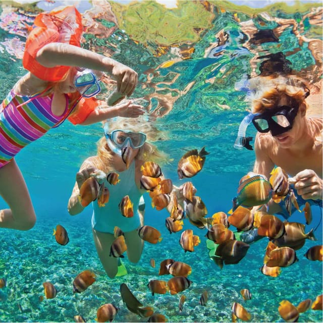 Vip Tour 3 Islands Nha Trang - Mud Bath - Important Information and Restrictions