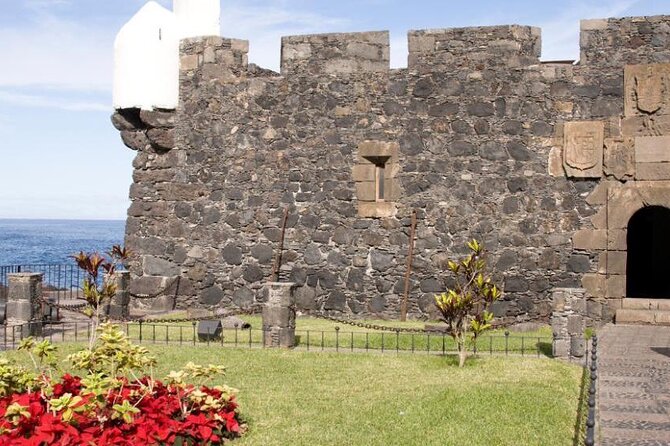VIP Tour in Teide Icod Garachico and Masca in English - Customer Reviews
