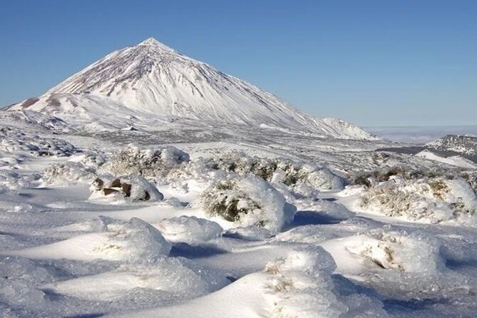 VIP Tour in Teide Icod Garachico and Masca in English - Highlights and Itinerary