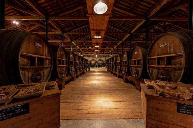 VIP Tour of the Cellars and Wine and Vermouth Tastings - Vermouth Production Process