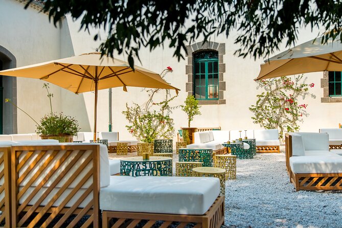 VIP Tour of the Cellars and Wine and Vermouth Tastings - Transportation and Hotel Pickup