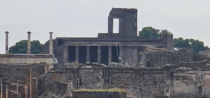 Vip Tour Pompeii Skip the Line With Archaeology Expert - What to Expect During Your Tour