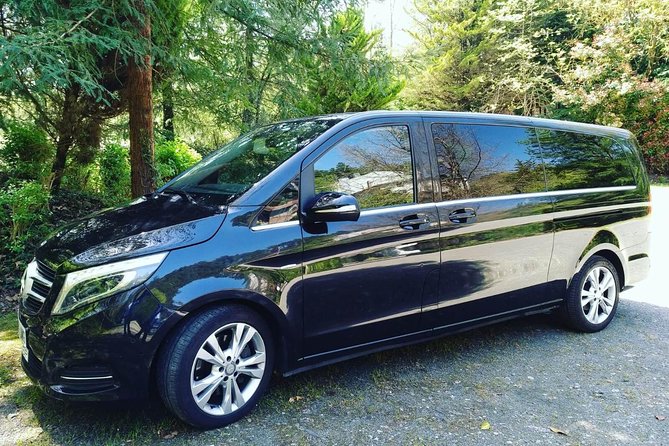 VIP Tour to Turku From Helsinki PRIVATE - Booking and Cancellation