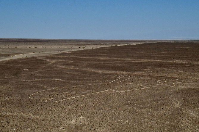 VIP Tours Nazca Lines - Inclusions and Highlights