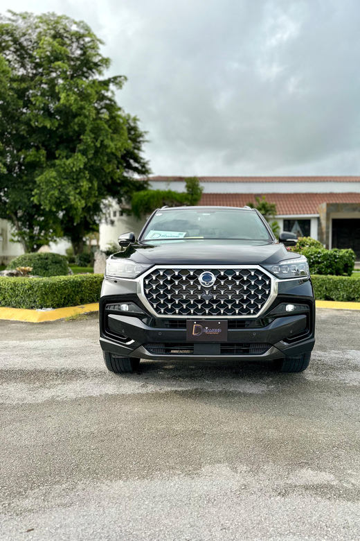 VIP Transfer Between Punta Cana Airport and La Romana Hotels - Driver and Vehicle Information