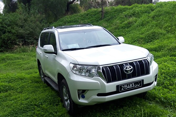 VIP Transfer Between Tunis Carthage Airport and a Hotel in Tunis - Pricing and Booking