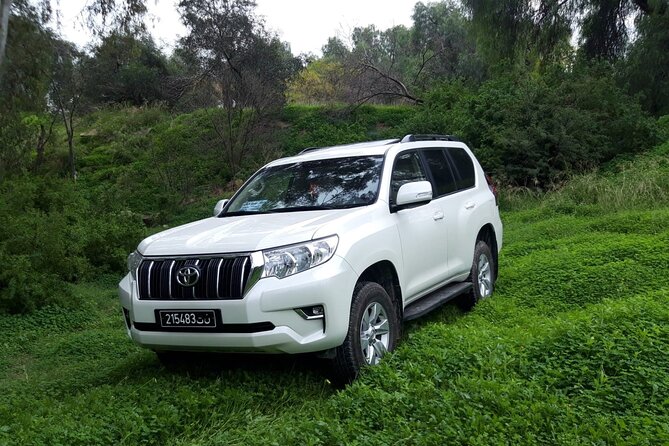 VIP Transfer Between Tunis Carthage Airport and a Hotel in Tunis - Customer Reviews