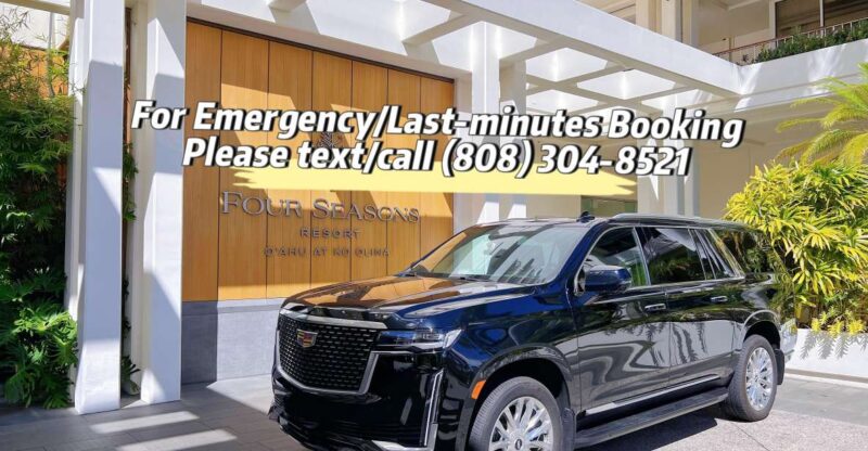 VIP Transfer: Ko Olina to Honolulu Airport or Vice Versa - Pickup and Waiting Time