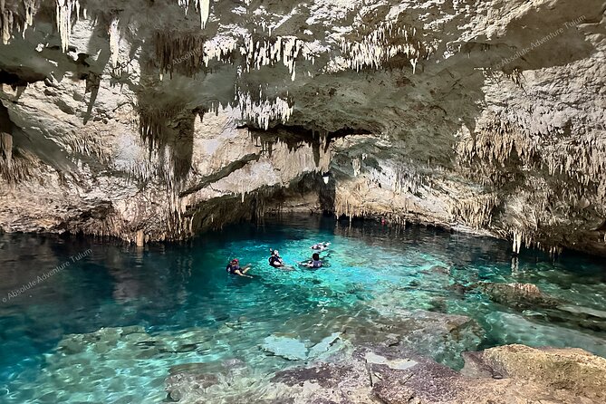 VIP Tulum Private Tour With Snorkeling in Breathtaking Cenote - Diving Into the Refreshing Cenote