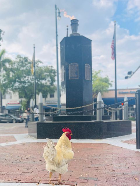 VIP Walking Tour of Little Havana - Itinerary Highlights
