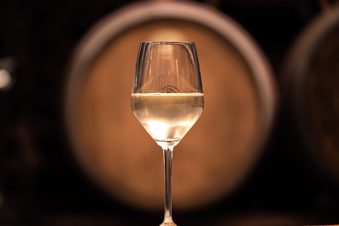 Vipava Valley Wine Express Tour From Ljubljana - Cancellation and Payment