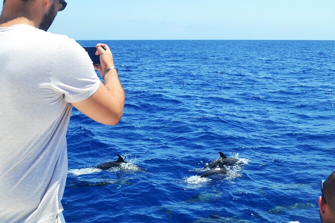 VipDolphins Luxury Whale Watching - Inclusions and Amenities