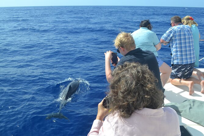 VipDolphins Luxury Whale Watching - Meeting Point and Pickup