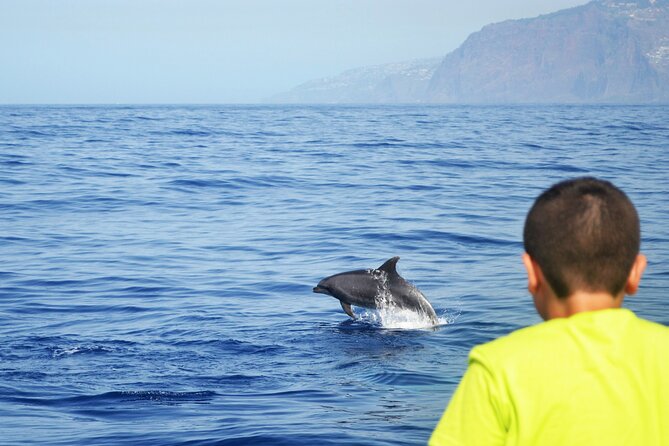 VipDolphins Luxury Whale Watching - Important Traveler Considerations