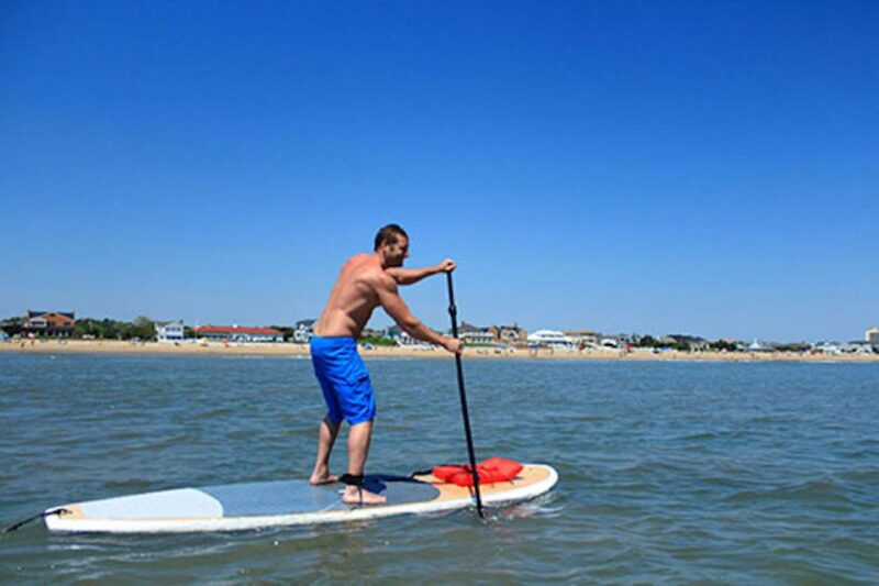 Virginia Beach: Dolphin Stand-Up Paddleboard Tour - Tour Experience