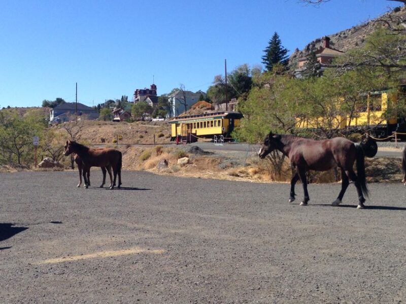 Virginia City Day Tour From Lake Tahoe - Transportation and Pickup Details