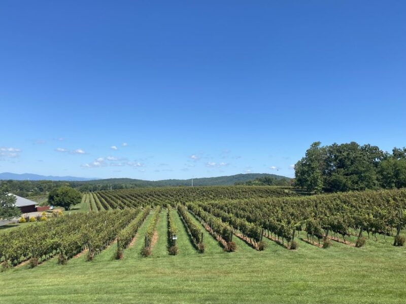 Virginia Wineries Tours: Experience Virginia Wineries - Important Information