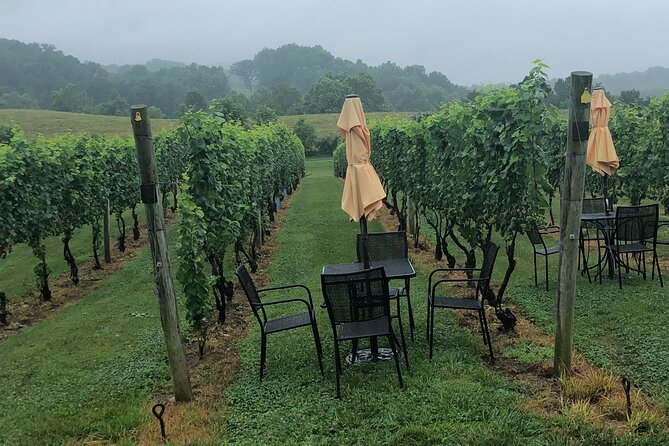 Virginia Winery Excursion By Luxury Vehicle 2-Wineries - Winery Experiences