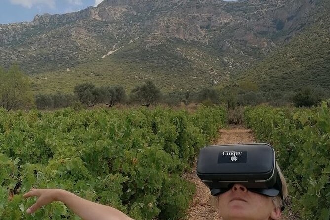 Virtual Greek Wine Tasting - Meeting and Pickup