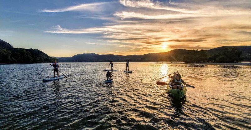 Visegrád: Danube River Guided Stand-Up Paddleboarding Tour - Key Points
