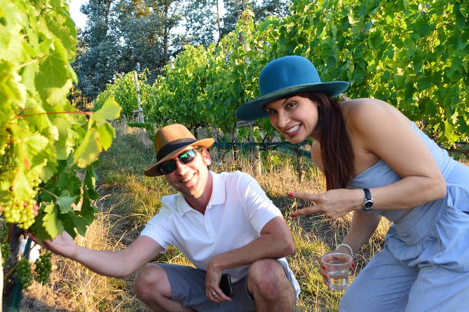 Visit 2 Wineries in a Day - Ratings and Reviews
