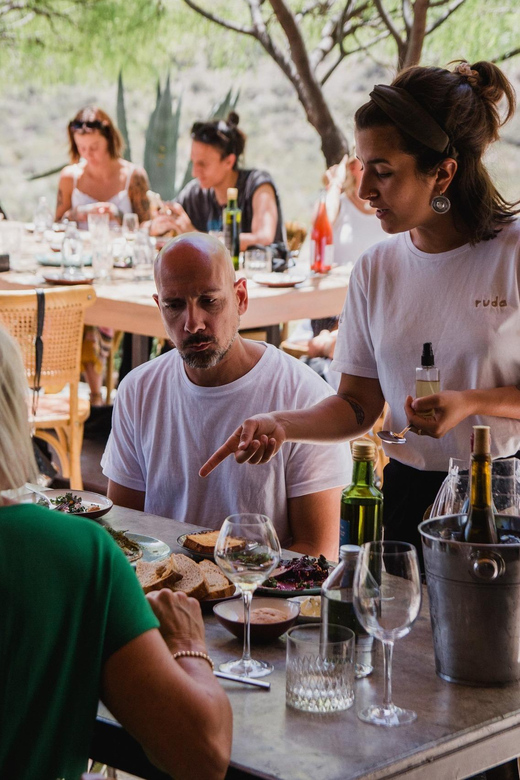 Visit 3 Family Wineries With Lunch and Transfer Included - Itinerary Details