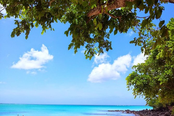 Visit 4 Beaches in the North Including Mont Choisy & Pereybere - Activities Offered