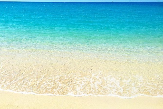 Visit 4 Beaches in the North Including Mont Choisy & Pereybere - Operator Information