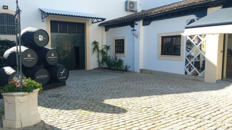 Visit a Century-Old Winery in the Centre of Jerez - Winemaking Processes