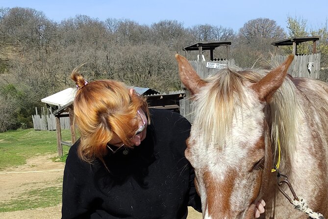 Visit a Farm and Horseback Riding in Nature - Farm and Horseback Riding Details