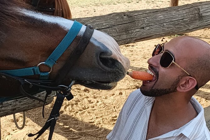 Visit a Farm and Horseback Riding in Nature - Pricing and Participation
