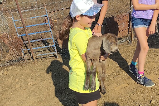Visit a Goat Farm in a Village - Included Amenities and Accessibility