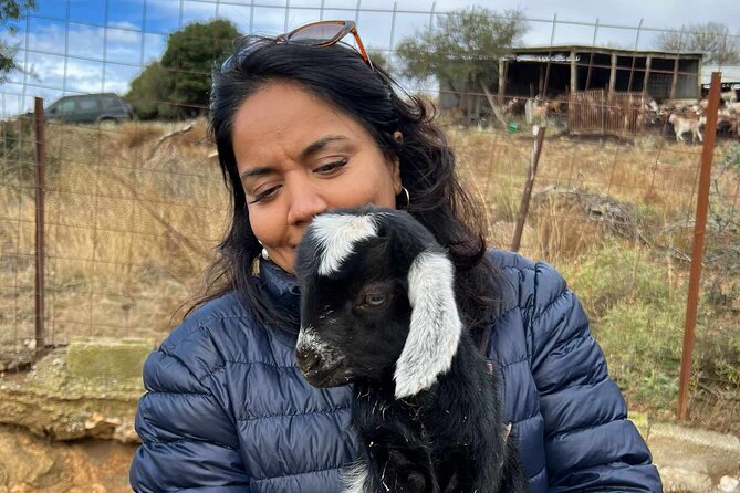 Visit a Goat Farm in a Village - Highlights of the Experience