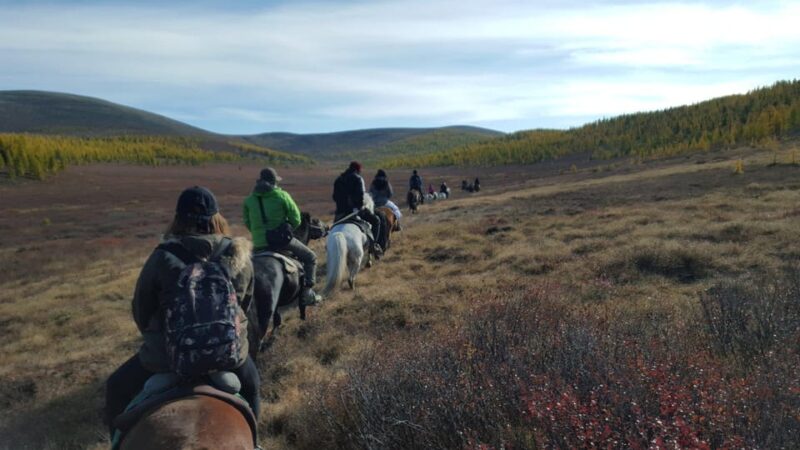 Visit a Reindeer Family ,Discover North Area Mongolia - Itinerary Highlights