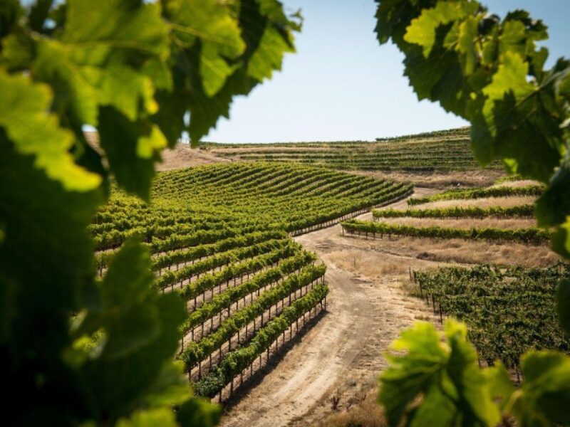 Visit a Village by E-Bike and Taste the Excellent Wine - Pricing and Reservations