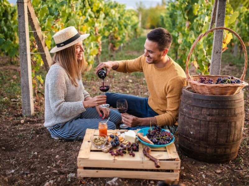 Visit a Village by E-Bike and Taste the Excellent Wine - Itinerary Details