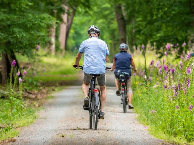 Visit a Village by E-Bike and Taste the Excellent Wine - Tour Highlights
