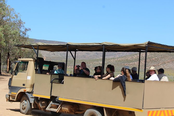 Visit African Big 5 Safari Aquila Game Reserve From Cape Town - Full Day - Questions About Your Stay