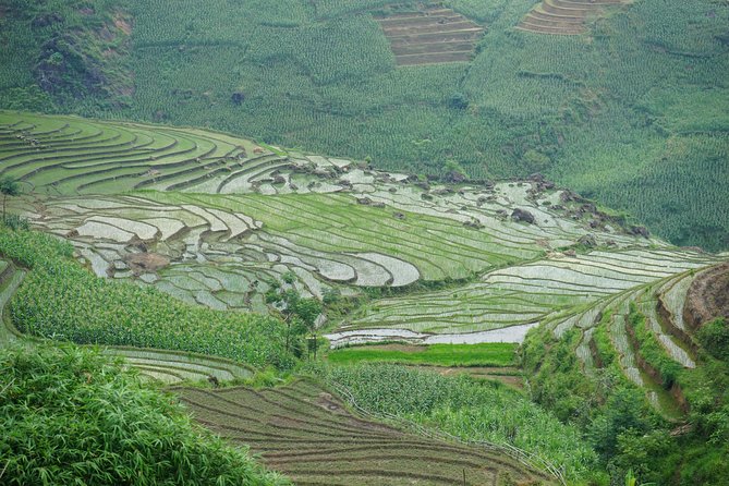 Visit All Place in Sapa in 1 Day With Easy Riders - Tour Overview