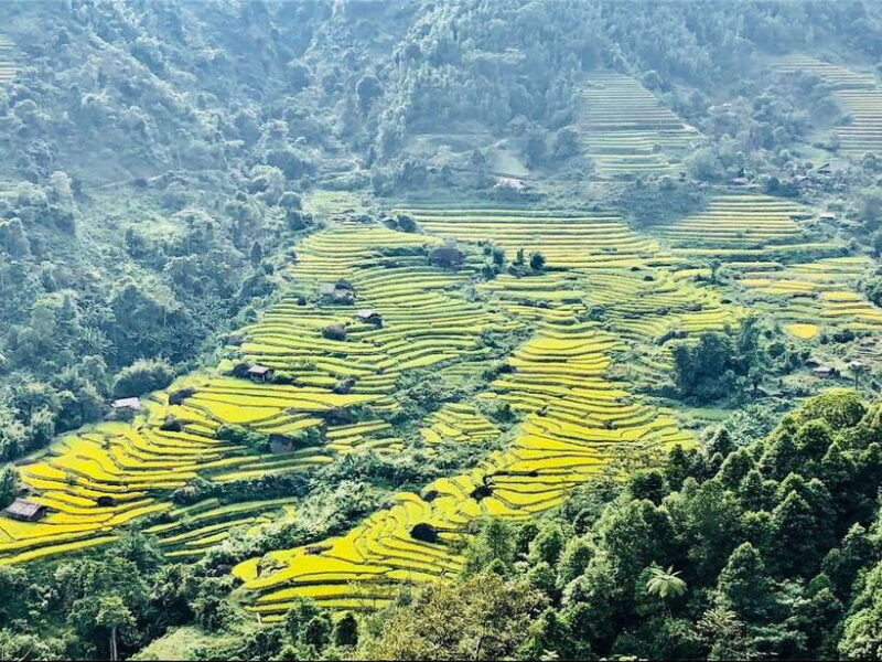 Visit All Villages and Hot Spring in Sa Pa Full Day by Car - Cat Cat Village
