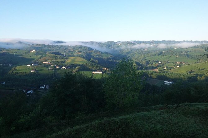 Visit Among Vineyards and Wine Cellar With Wine Tasting in Nizza Monferrato - Meeting and Pickup Details
