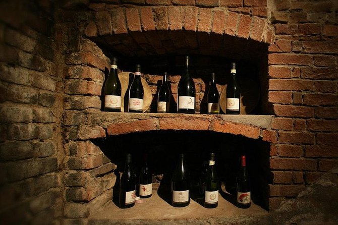 Visit Among Vineyards and Wine Cellar With Wine Tasting in Nizza Monferrato - Wine Tasting Experience