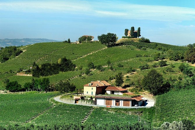 Visit Among Vineyards and Wine Cellar With Wine Tasting in Nizza Monferrato - Accessibility and Reviews