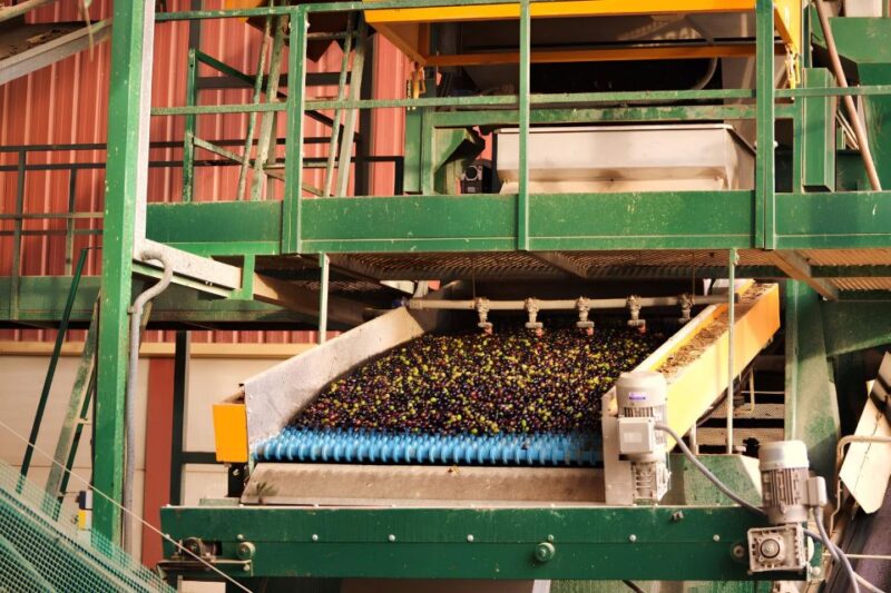 Visit an Olive Oil Mill + Extra Virgin Olive Oil Tasting: Baeza - Learning Experience