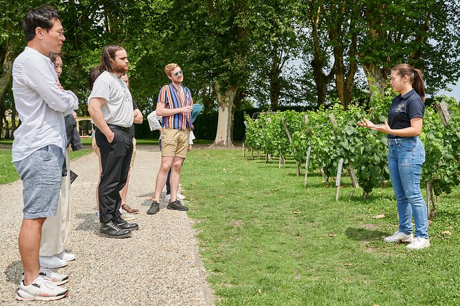Visit and Aroma Game - Blended Wine Tasting
